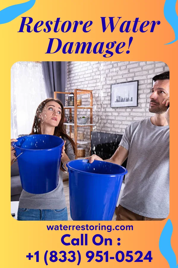 water restoration Best Flood Cleanup Services Dimock