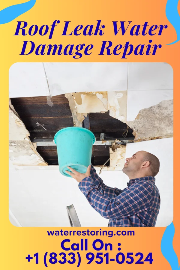 Roof Leak Water Damage Repair in Dimock, SD